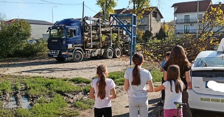 Nestala hladovina i dečji smeh: U naselju Rade Žunić posečeno svo drveće oko igrališta