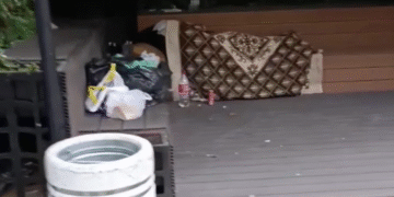 Bibliotečki „trg“ u Leskovcu konačno dobio svoju svrhu – postao sklonište za beskućnike