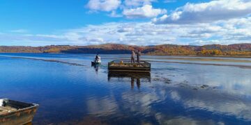 Na Vlasinskom jezeru postavljen prvi splav za gnežđenje čigri u Srbiji