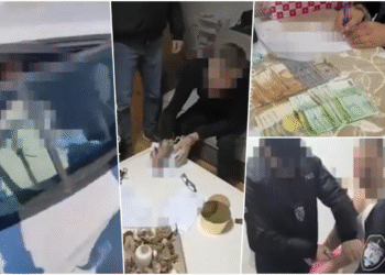 Saradnici Dragane Sotirovski priznali krivicu i osuđeni