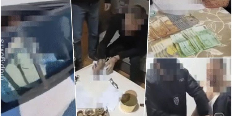 Saradnici Dragane Sotirovski priznali krivicu i osuđeni