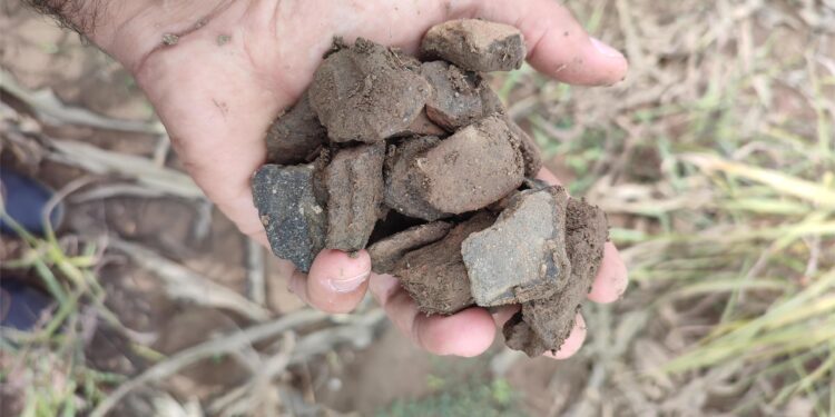 Počinju detaljnija arheološka istraživanja na teritoriji Vlasotinca