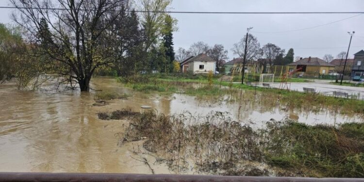 Problemi i u Dobrotinu, Grajevcu, Nakrivanjskom Čifluku i Predejanu