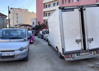 Leskovac: Grad u kome se bahato parkira kako ko stigne, dok saobraćajci krate vreme
