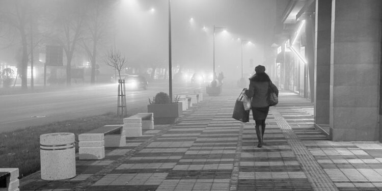 Biljana Nikolić kroz objektiv pokazala šta dišemo: Prva nagrada za fotografije zagađenja vazduha