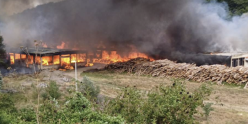 Požar u fabrici peleta, nema povređenih