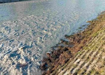 Kao da teče asfalt kroz centar Lebana: Reka Jablanica potpuno promenila boju
