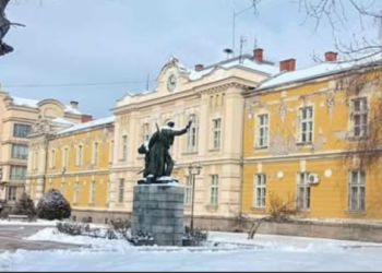 Grad Prokuplje traži rasvetljavanje incidenta u kojem je verbalno napadnuto dete