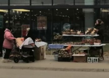 Badnjaci stigli na pijace u Leskovcu: Cene uglavnom iste, ali cena oraha šokirala kupce