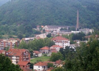 Prodaje se imovina Zemljoradničke zadruge „Grdelica“