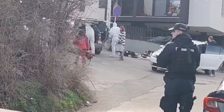 Uhapšen osumnjičeni za ubistvo Aleksandre Šarković u Nišu