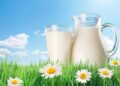 Objavljena potrošačka Bela lista mlekara koje otkupljuju mleko isključivo od domaćih stočara