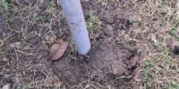 Još samo da zapevaju: Nepropisno postavljeni saobraćajni znaci u Stubli „igraju“ na vetru