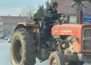 Zaplenjeno desetine kubika ukradenog drveta kod Pečenjevca, meštani za sve krive jednog čoveka i kažu da ga se boje