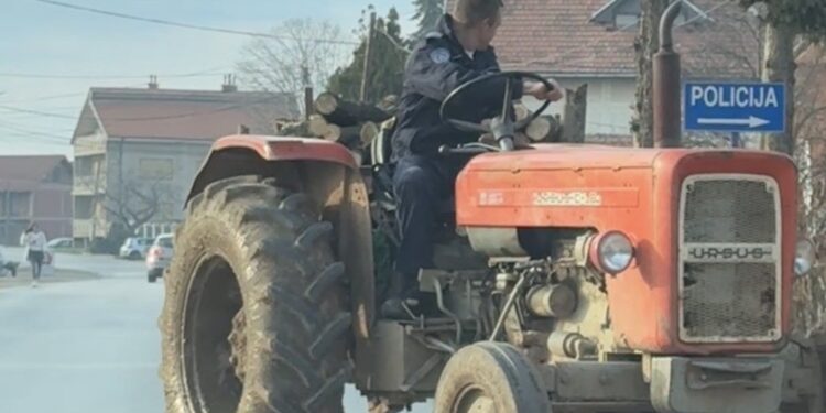 Zaplenjeno desetine kubika ukradenog drveta kod Pečenjevca, meštani za sve krive jednog čoveka i kažu da ga se boje