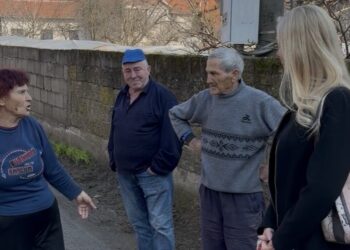 Milošević: Ljudi odlaze iz niških sela jer žive u fekalnim vodama