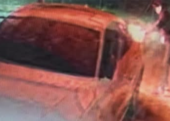 Zapaljen automobil monarhiste iz Vladičinog Hana