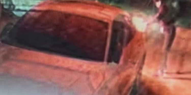 Zapaljen automobil monarhiste iz Vladičinog Hana