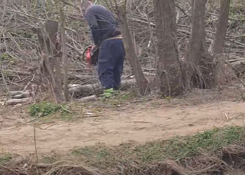 „Ovo je postao biznis!“: Ko seče drveće uz obalu Veternice u Leskovcu?