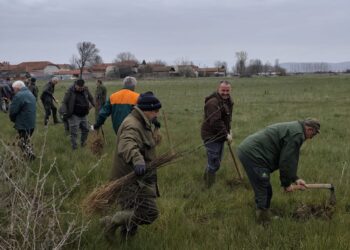 Akcija pošumljavanja kod Leskovca: Učenici i građani zasadili preko 3.700 sadnica