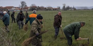 Akcija pošumljavanja kod Leskovca: Učenici i građani zasadili preko 3.700 sadnica