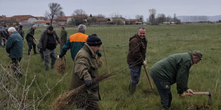 Akcija pošumljavanja kod Leskovca: Učenici i građani zasadili preko 3.700 sadnica