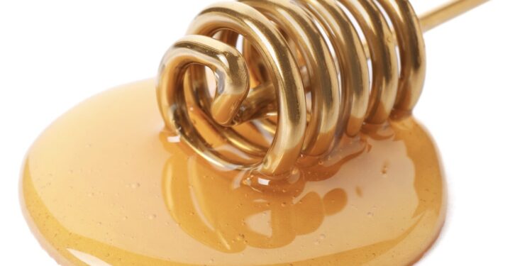 Šta su tražili, a šta će od države dobiti srpski pčelari