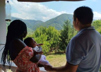 Zelena misija mladog Leskovčanina: Nikola kupuje i sadi po gradu stare sorte voća i retko ukrasno drveće