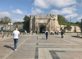 Niš između rasta i upozorenja: sve više novih firmi, ali i nagli skok broja ugašenih u 2025.