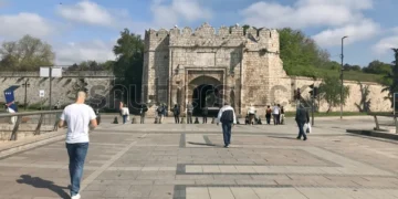 Niš između rasta i upozorenja: sve više novih firmi, ali i nagli skok broja ugašenih u 2025.