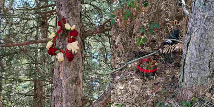 Uznemirujući prizori na Babičkoj Gori: Meštani pronašli tragove okultnih rituala