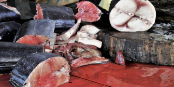 Cene ribe eksplodirale pred Veliki petak: Kilogram ide i do 6.000 dinara