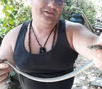 Zmije obožavaju vinovu lozu, ali ne zbog ploda