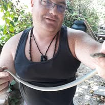 Zmije obožavaju vinovu lozu, ali ne zbog ploda