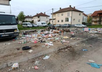 Deponija u Đermanovićevoj: Sizifov posao ili svesno povlađivanje nesavesnima