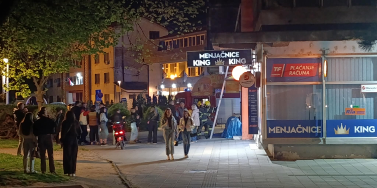 Drama u centru Leskovca sa srećnim krajem: Vatrogasci spasili mačku uz aplauze građana iz uskog prolaza