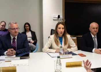 Razgovor sa delegacijom Državne naftne kompanije Azerbejdžana o izgradnji gasne elektrane kod Niša