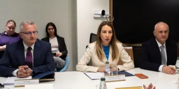 Razgovor sa delegacijom Državne naftne kompanije Azerbejdžana o izgradnji gasne elektrane kod Niša