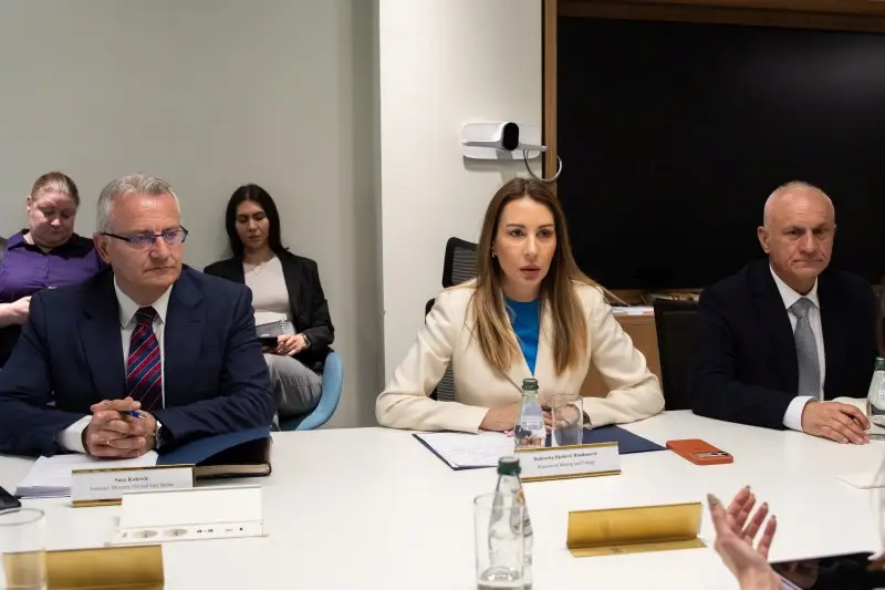 Razgovor sa delegacijom Državne naftne kompanije Azerbejdžana o izgradnji gasne elektrane kod Niša