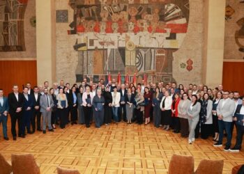 Gradu Leskovcu više od 13 miliona dinara za uslugu lični pratilac deteta