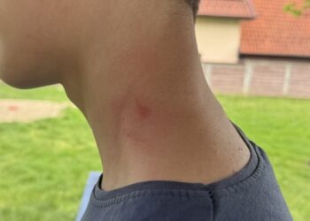 Stariji muškarac davio maloletnog dečaka u Dubočici: „Ja sam pred kraj života, boli me šta radim!“