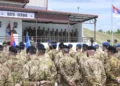 „NATO-Srbija“: Počela prva zajednička vojna vežba Srbije i Alijanse kod Bujanovca