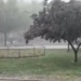 Grad veličine graška tukao Prokuplje više od minut