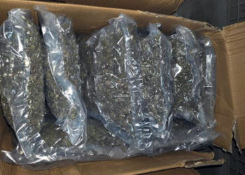 Policija u automobilu pronašla 21 kilogram marihuane: Pritvor za 45-ogodišnjaka