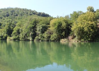 Počinje tretman protiv komaraca u Vlasotincu: Bezbedno za pčele