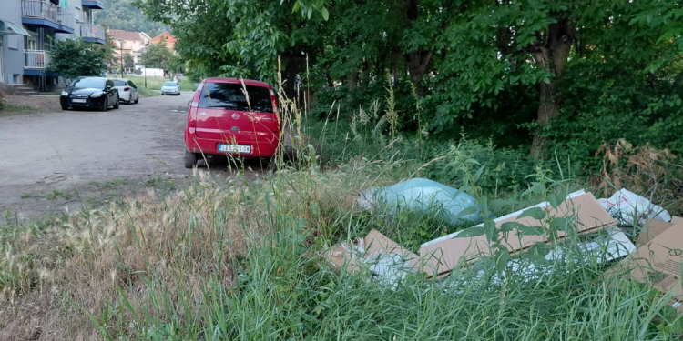 Izbacio gomilu smeća u Prolomskoj ulici pa vređao građane koji su ga opomenuli