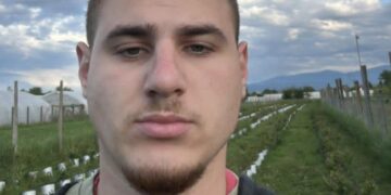 Sa svega 22 godine, Leskovčanin Ilija Marinković ima svoju plantažu borovnice, ali i velike ambicije i planove
