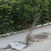 Rupa na putu koja je dobila ime po gradskom većniku