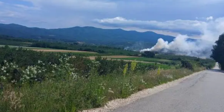 Danima gori deponija u Međuhani, požar se proširio i van nje