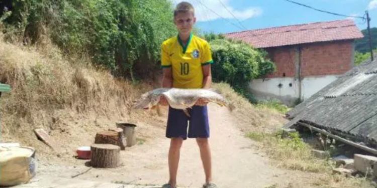 Mali ribolovac, veliki podvig: Andrej (13) izvukao štuku tešku 10 kilograma